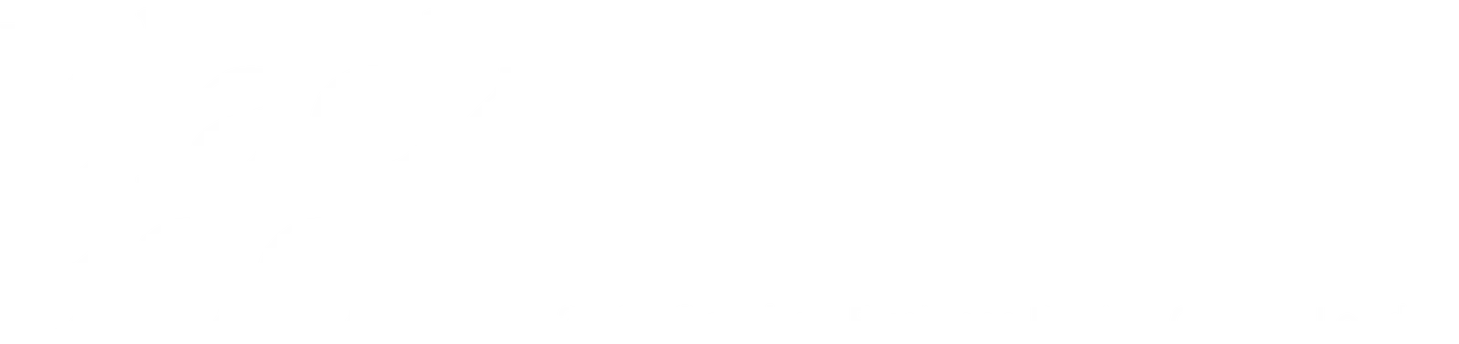 Black Book logo