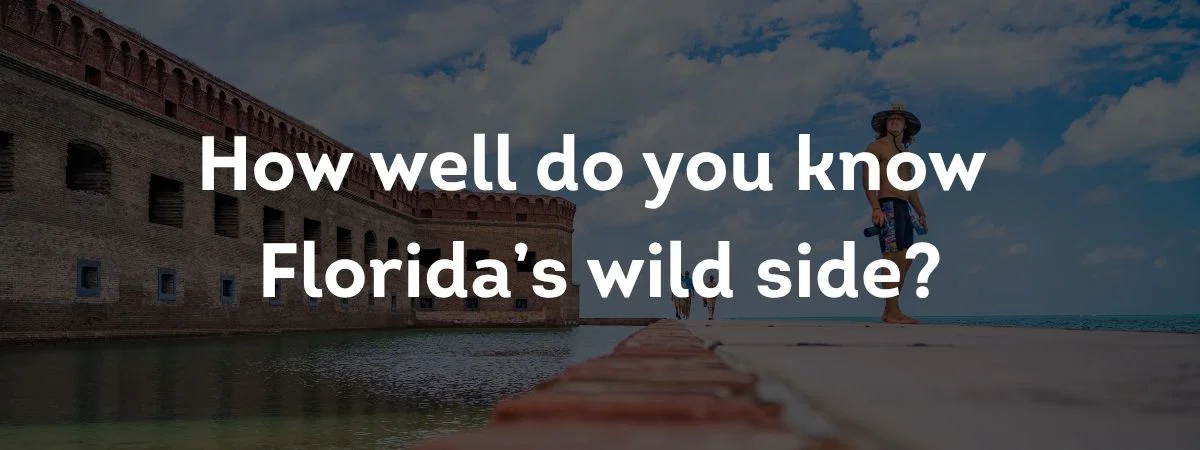 How well do you know Florida's wild side?