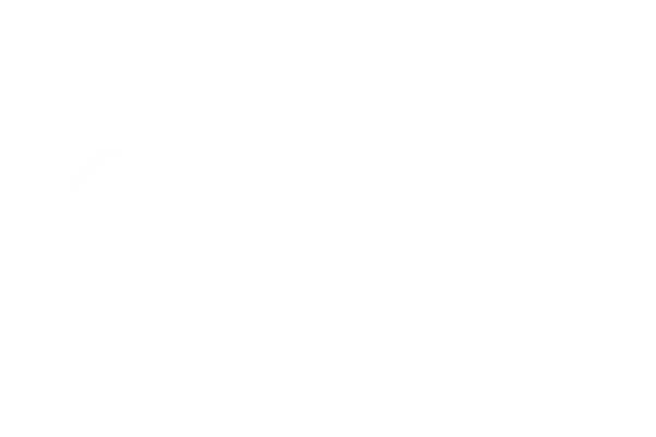 Turkish Airlines