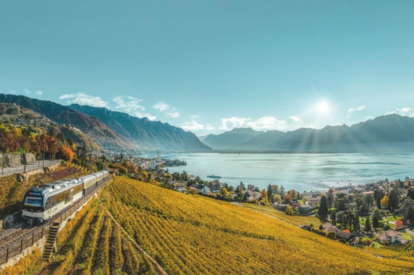 Train driving through picturesque vineyards in Switzerland