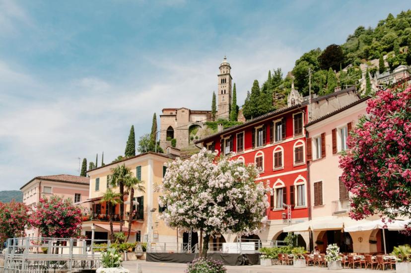 Pretty, colourful buildings with spring blossom trees 