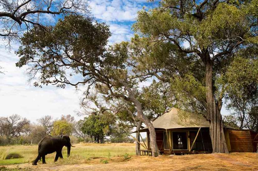 Xaranna elephant safari