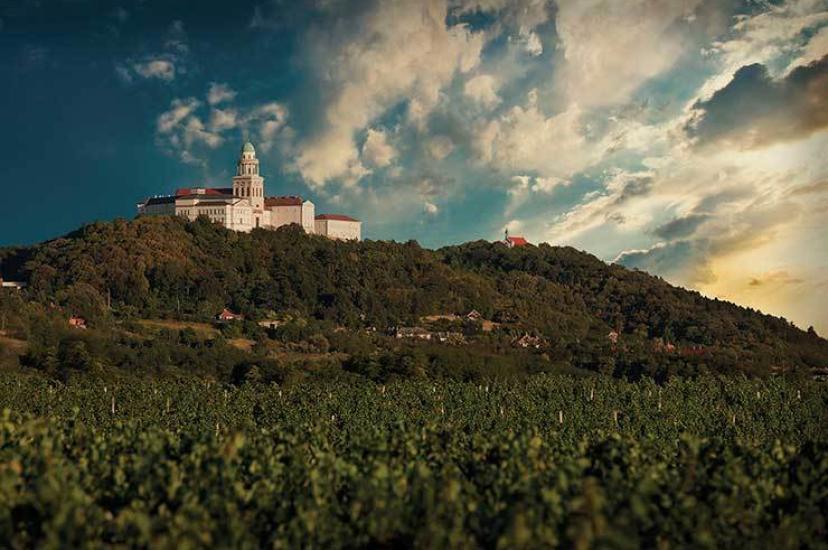 Pannonhalma Monastery and vineyards