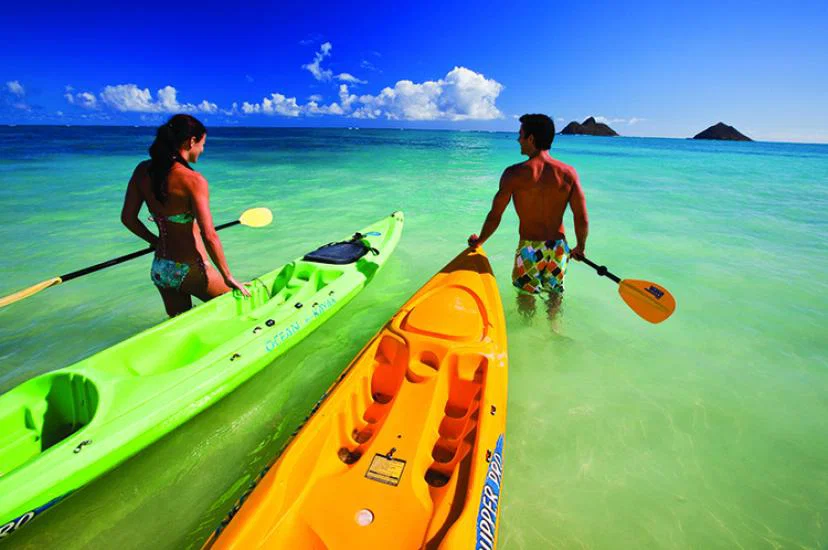 Resized Hawaii IMAGE.jpg