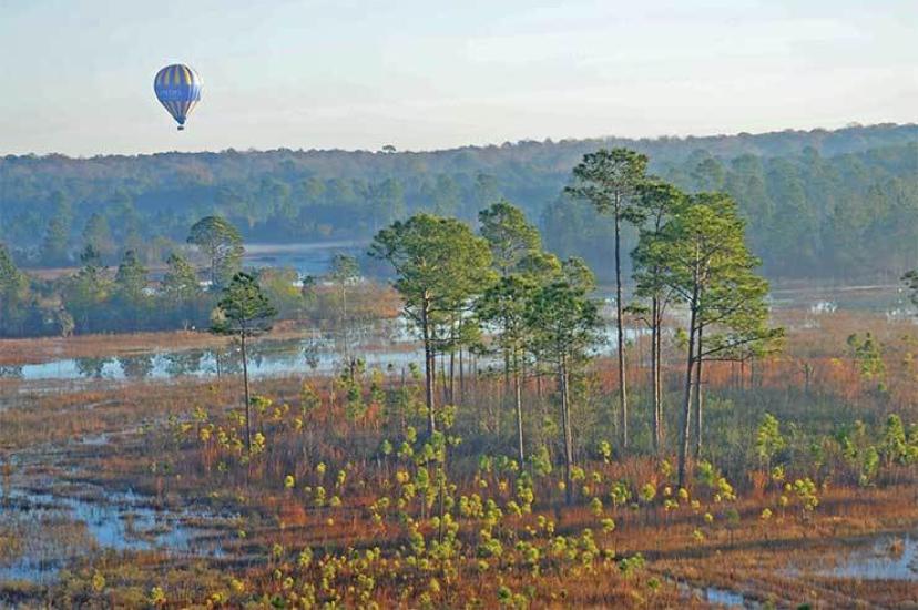 Balloon over Kissimmee