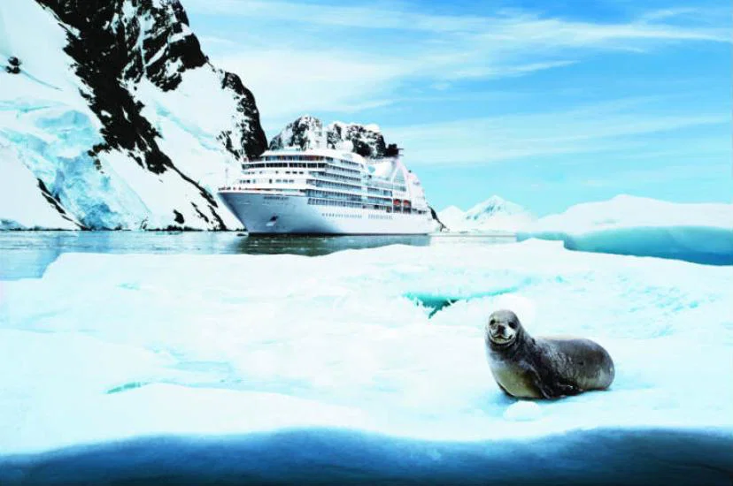 SEABOURN QUEST in Antartica with a seal.jpg