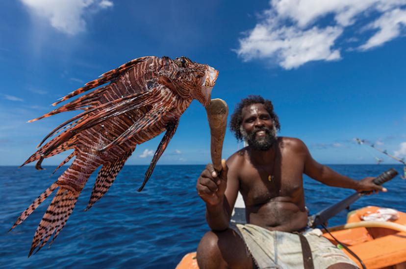 Lionfish.jpg