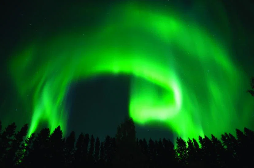iStock-542014178.jpg