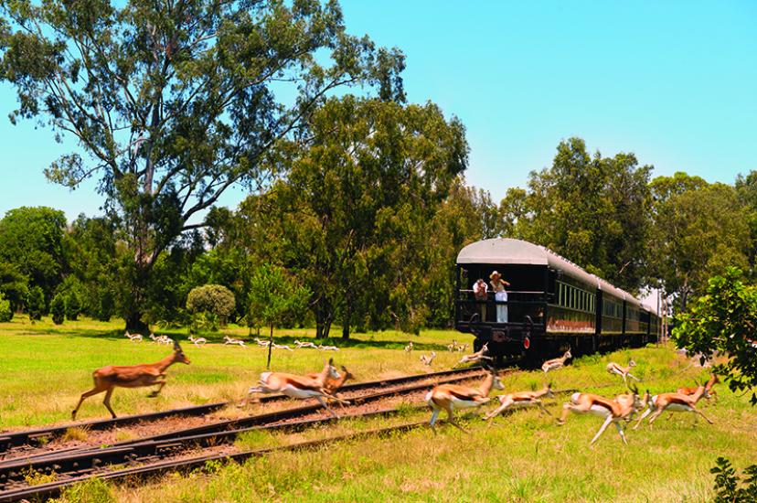 Rovos Rail.jpg