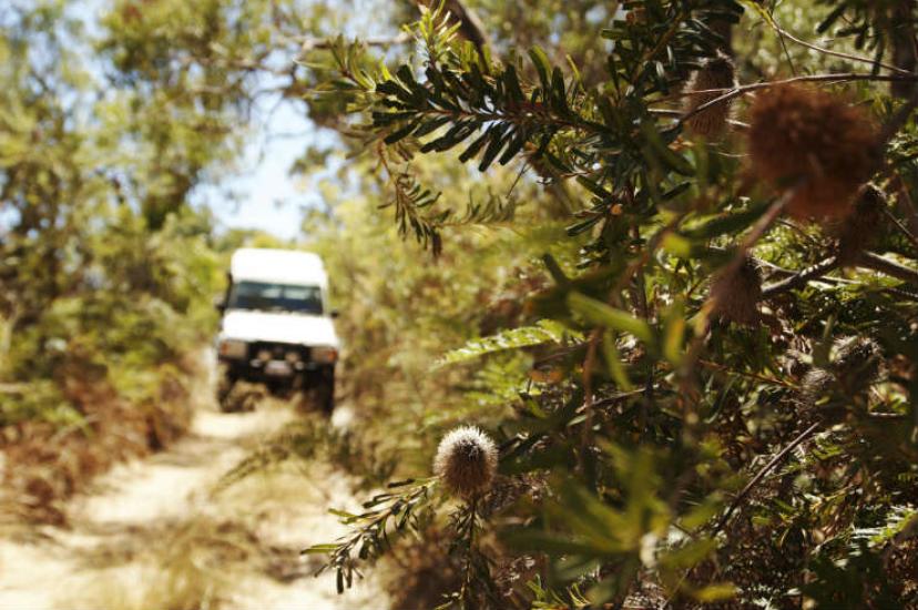 Off Piste in Australia