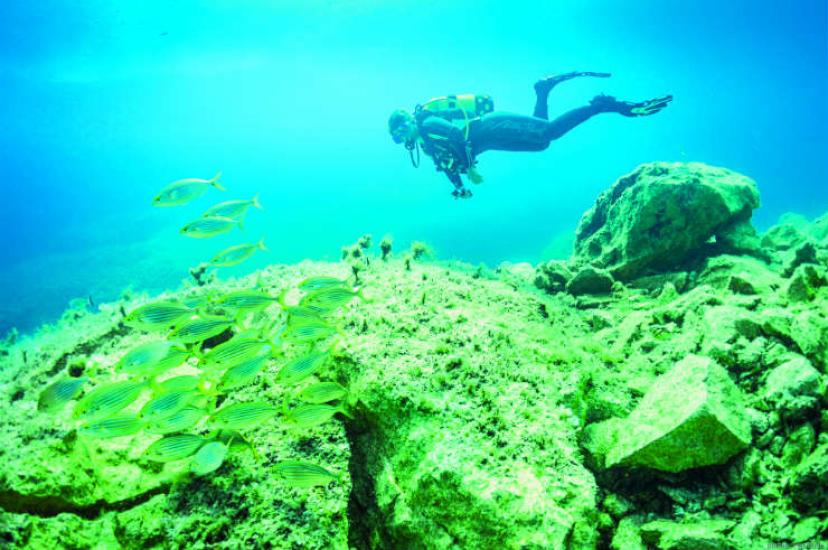 Diving in Malta