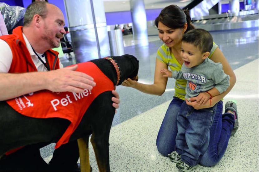 Therapy dog at LAX Airport