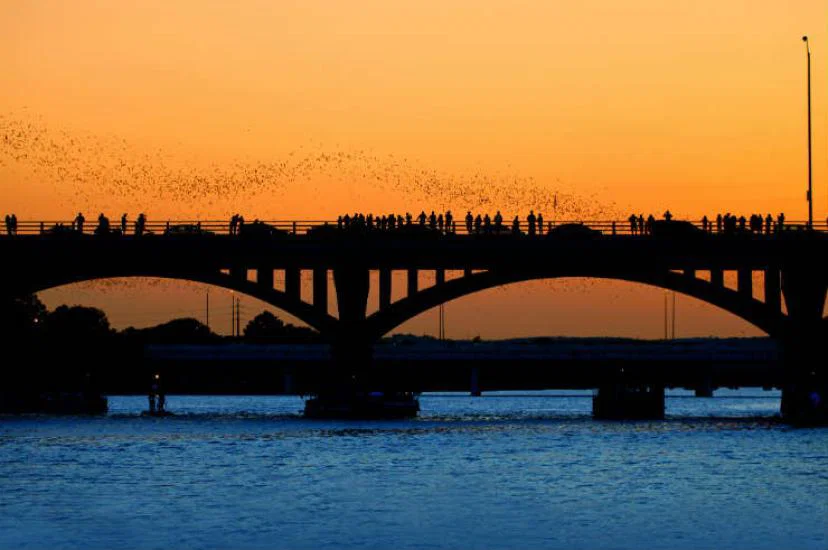 Congress Avenue Bridge