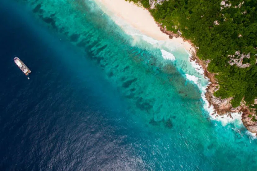 The Seychelles will reopen to international tourists from 25 March with only a pre-departure test requirement