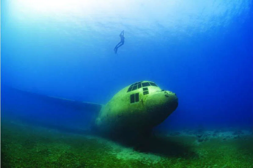 Diving in the Red Sea