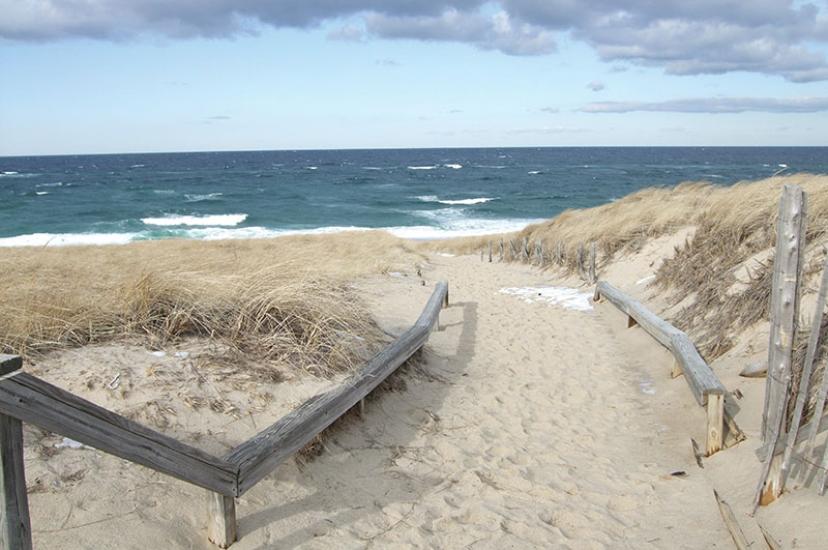 Race Point Beach_cred William DeSousa-Mauk.jpg