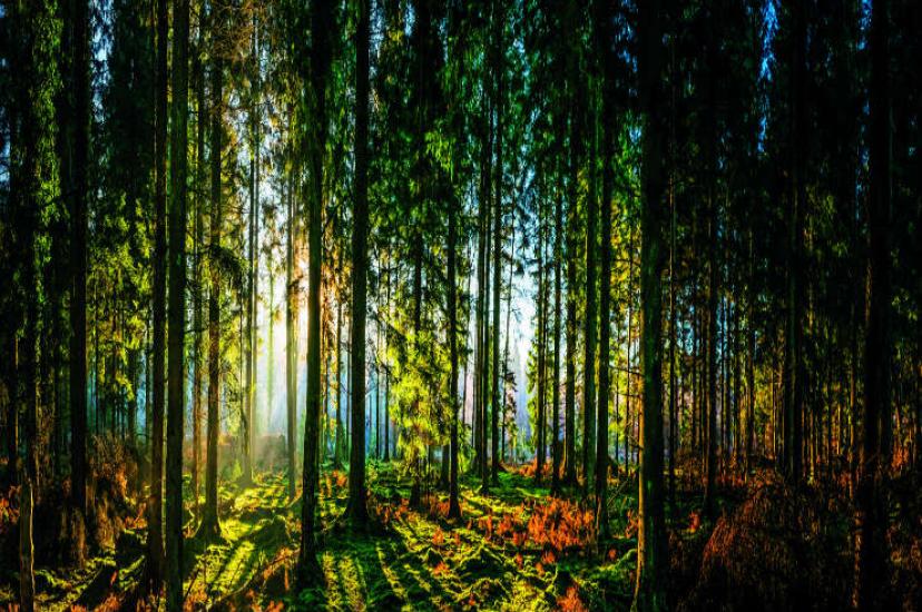 We’ll get back to nature