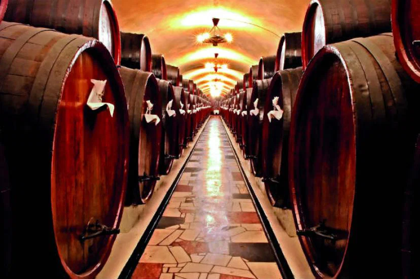 food and wine2.jpg
