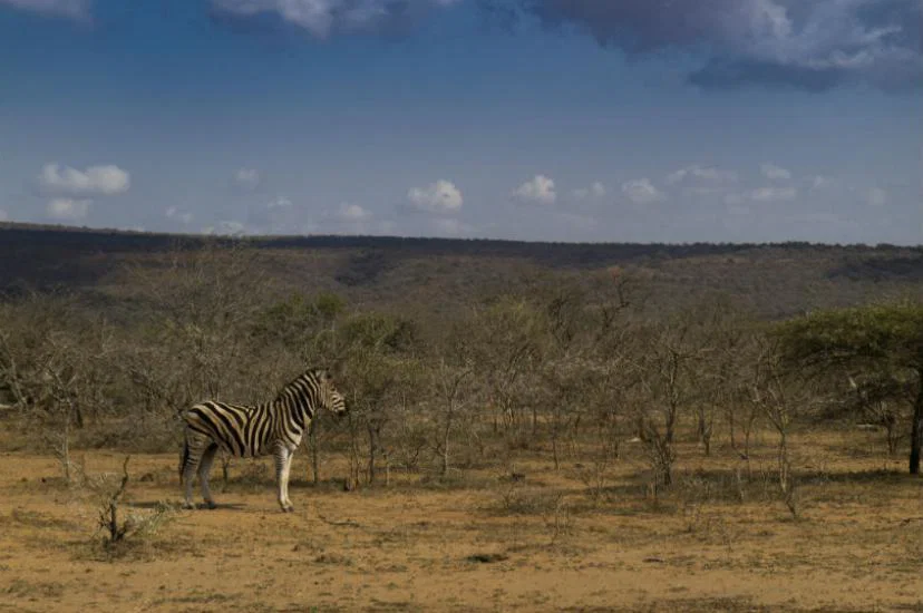 Explore has launched a new South Africa Garden Route tour