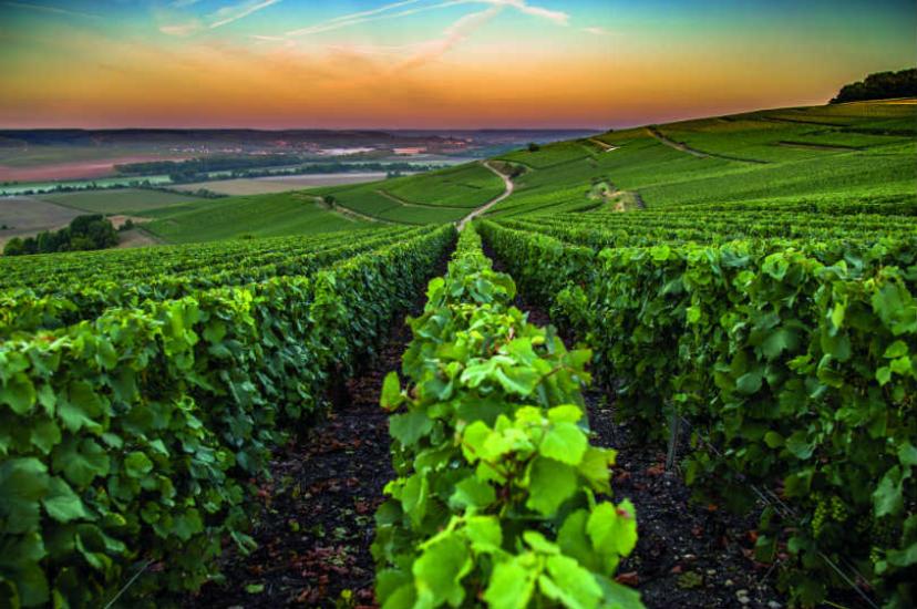 The Champagne region of France is famous for its fizz