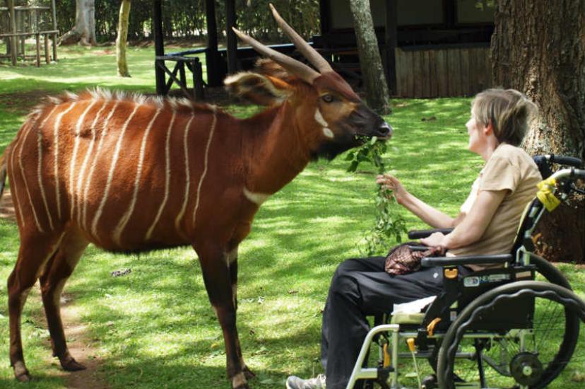 Rahisi Tours is offering a three-day Mount Kenya experience