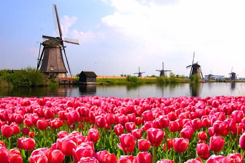 Green-fingered clients can visit Floriade Expo 2022 in the Netherlands with AmaWaterways.