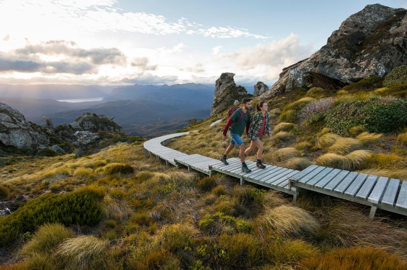 Tuatapere Hump Ridge Track Walk is new to the Great Walks network. Picture by Graeme Murray