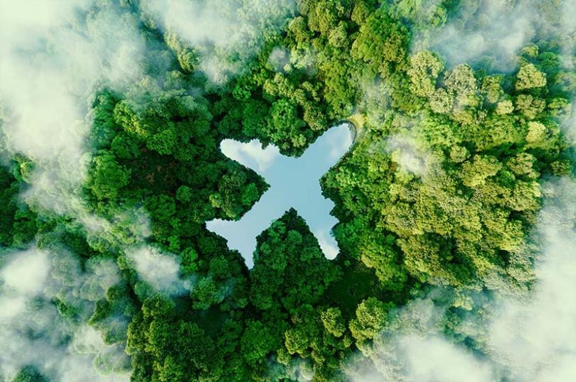 (Credit: iStock)