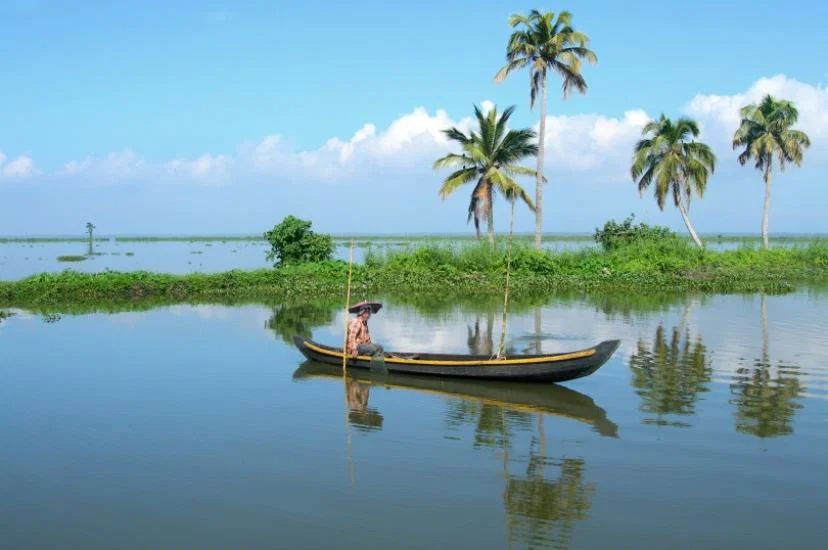 Cruise along Kerala's enchanting backwaters and you'll see slices of local life amid scenes of tranquility