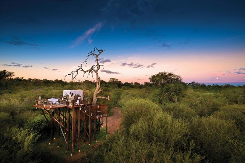 Chalkley Treehouse © Azure Collection