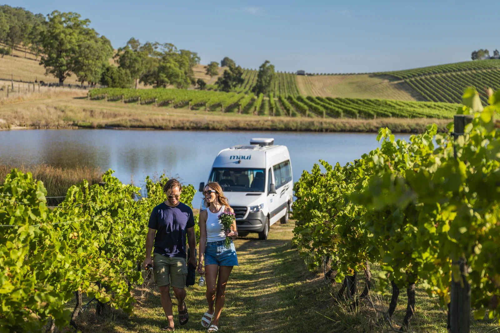 People walking through vineyard with caravan in background