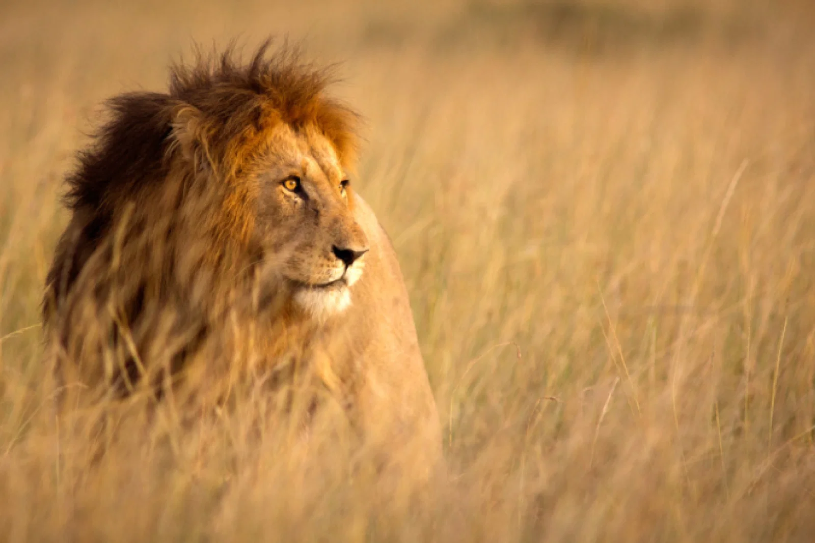 Win a place on an Africa fam trip