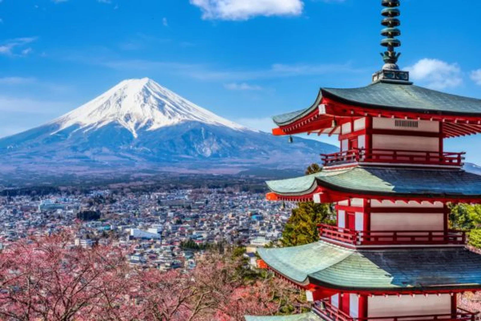 A snowcapped Mt Fuji 
