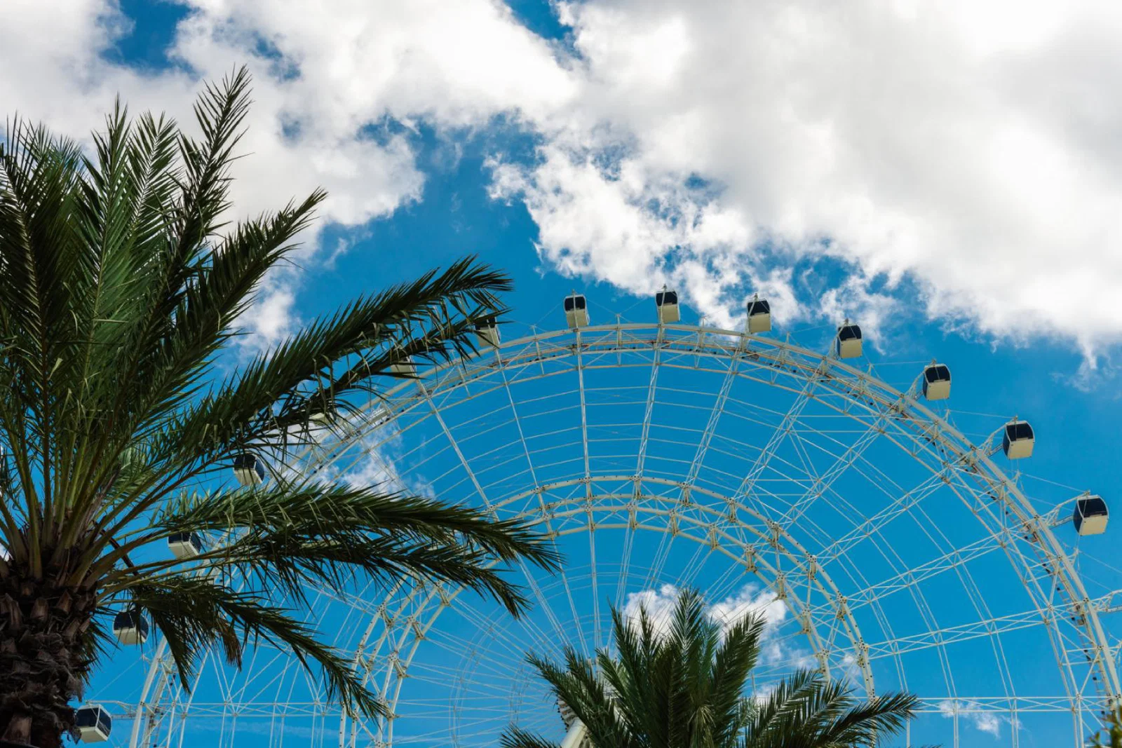 Orlando's Eye