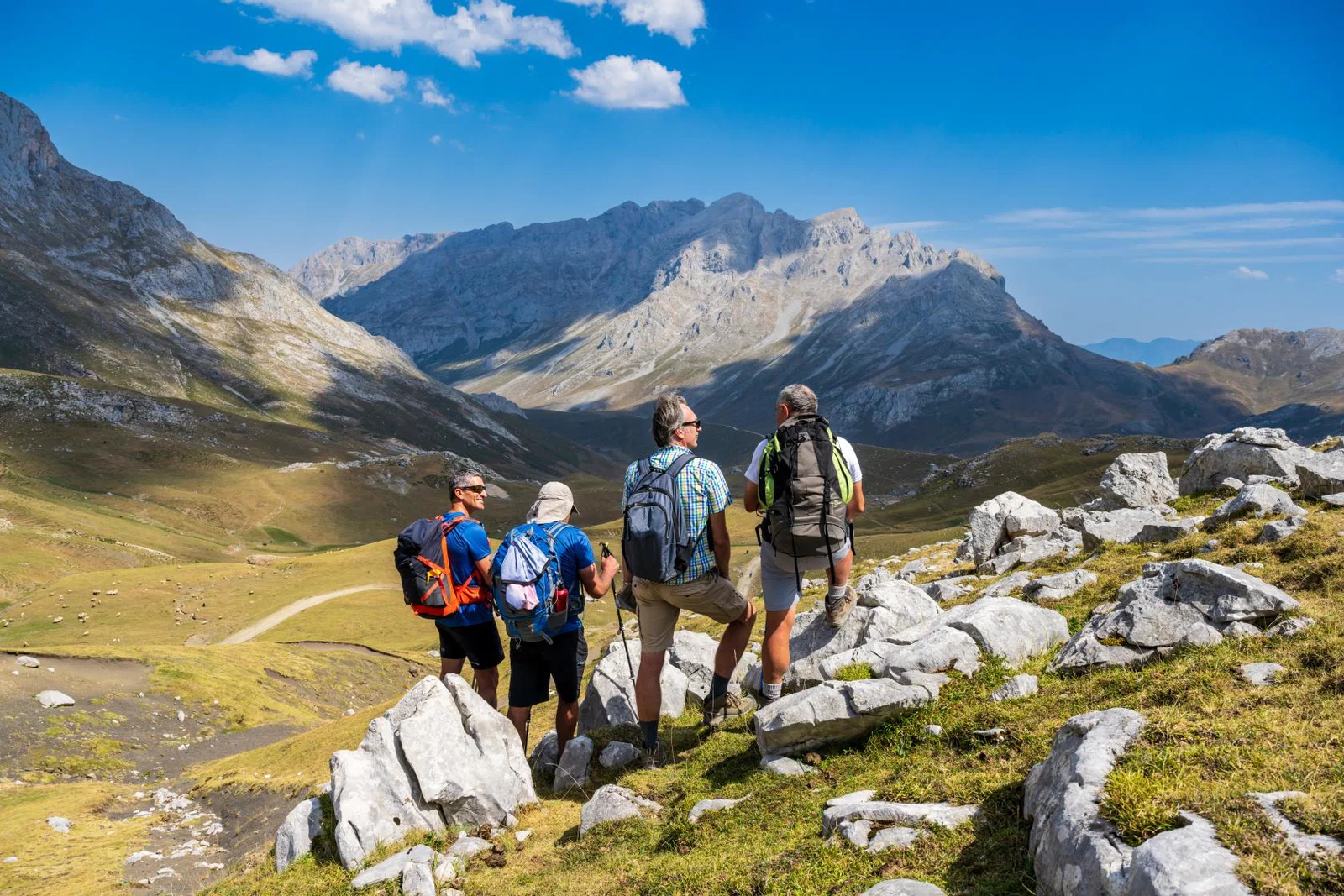 Picos de Europa