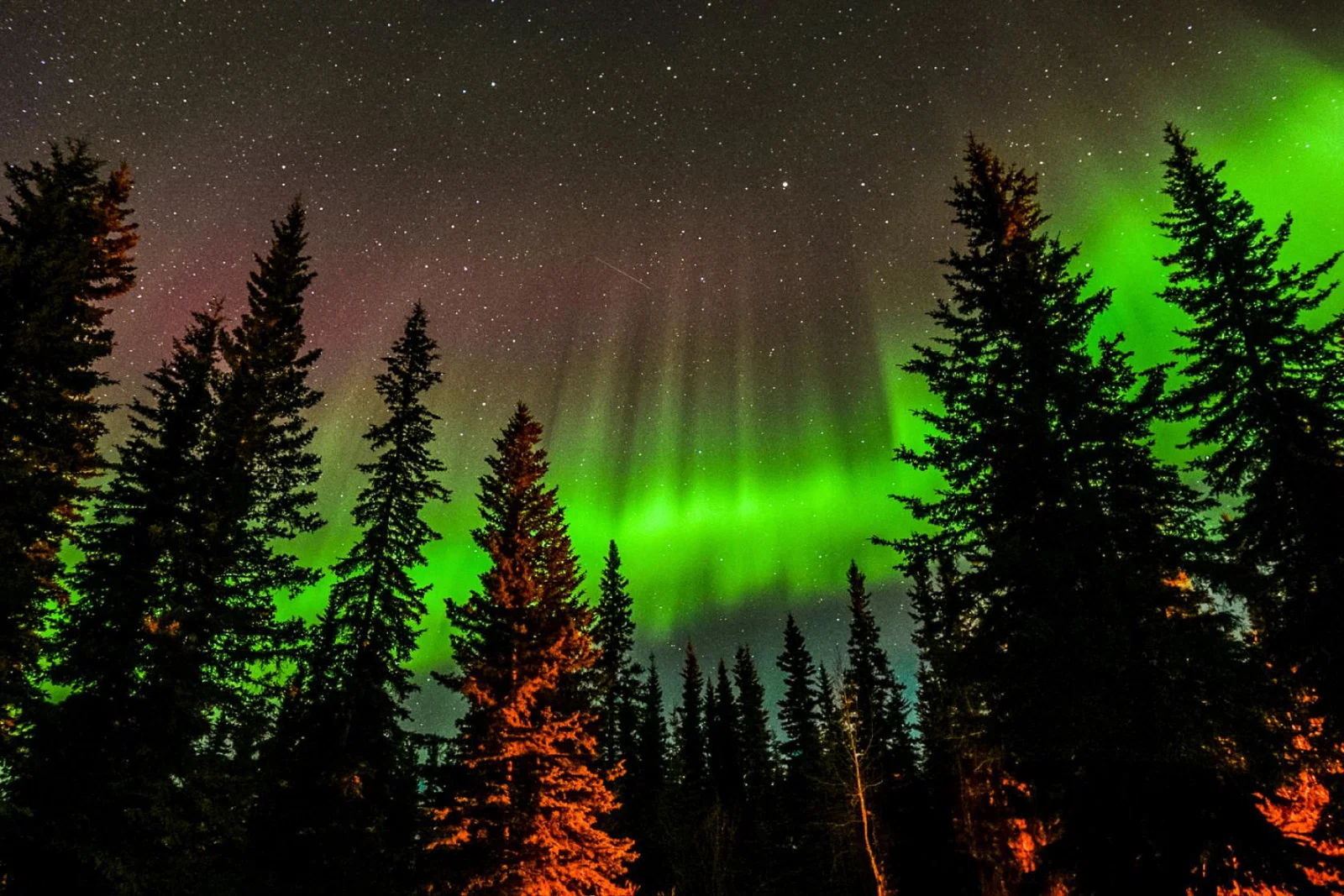 Credit: iStock / Debora Vandor