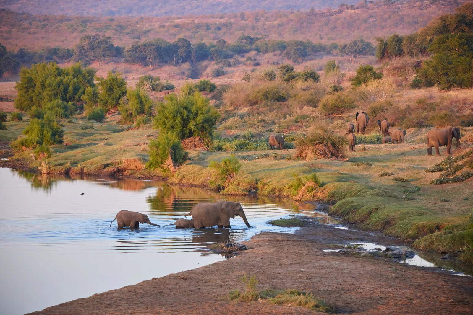 Kruger