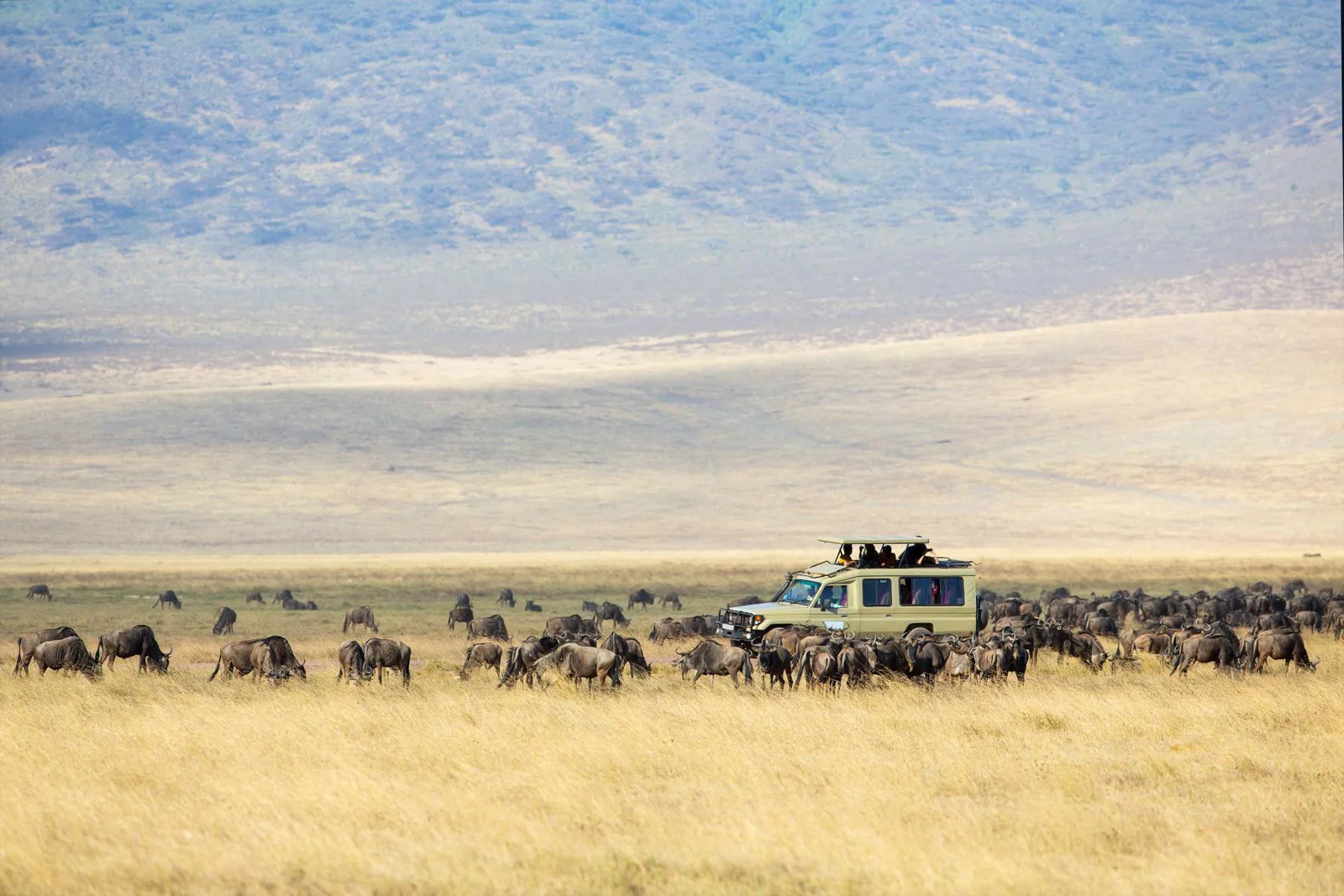 Ngorongoro Safari 