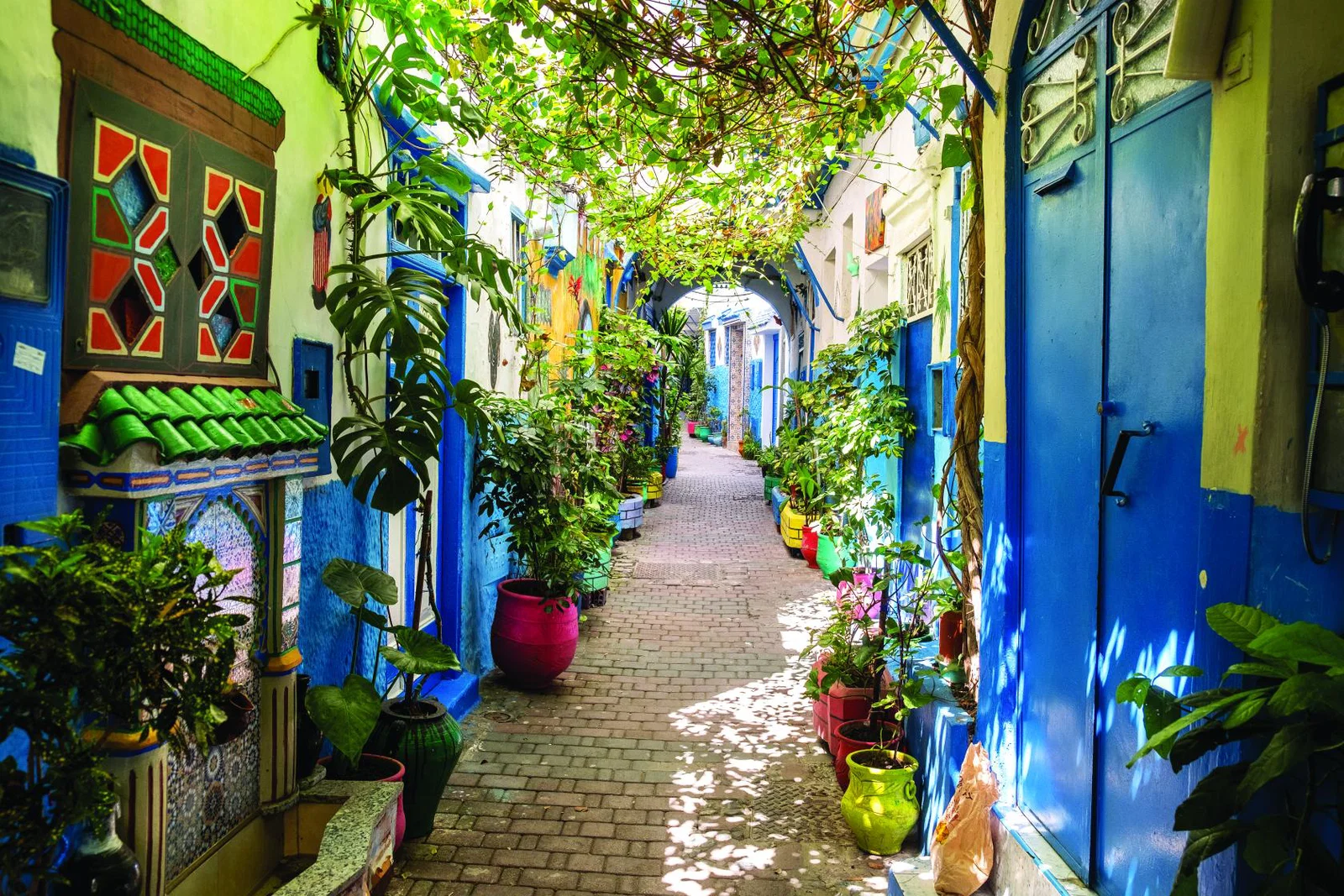 An image of the green tree-lined streets of  Tangier in Morocco - there are lovely blue walls and a tapestry to the left also. 