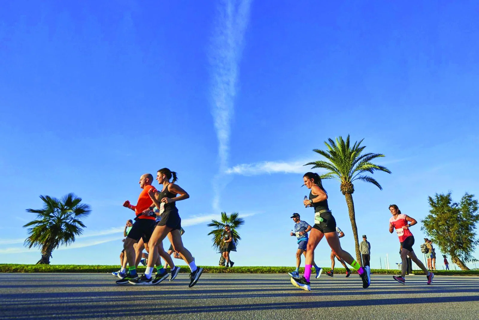Runners with palm trees in the background. 