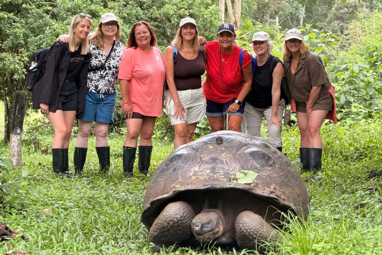 Angela Briggs, Roberta Comely, Ally Toner, Heidi Phillips and Jess Tricket.