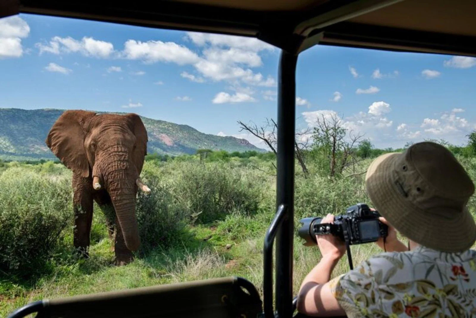 A woman in a safari truck photographing an elephant standing in front of her