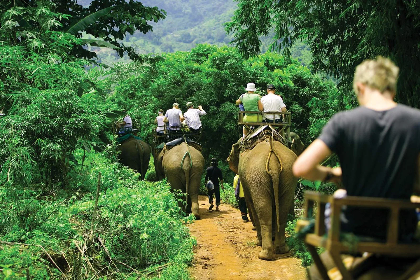 Elephant ride (stock)
