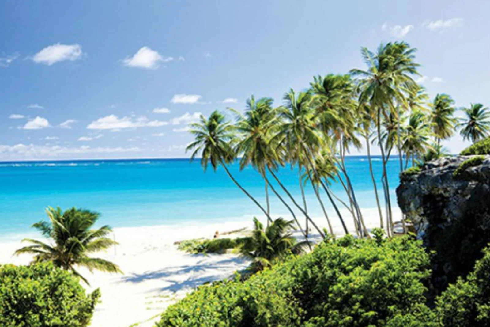 Barbados will be back on Edinburgh's departure board next winter