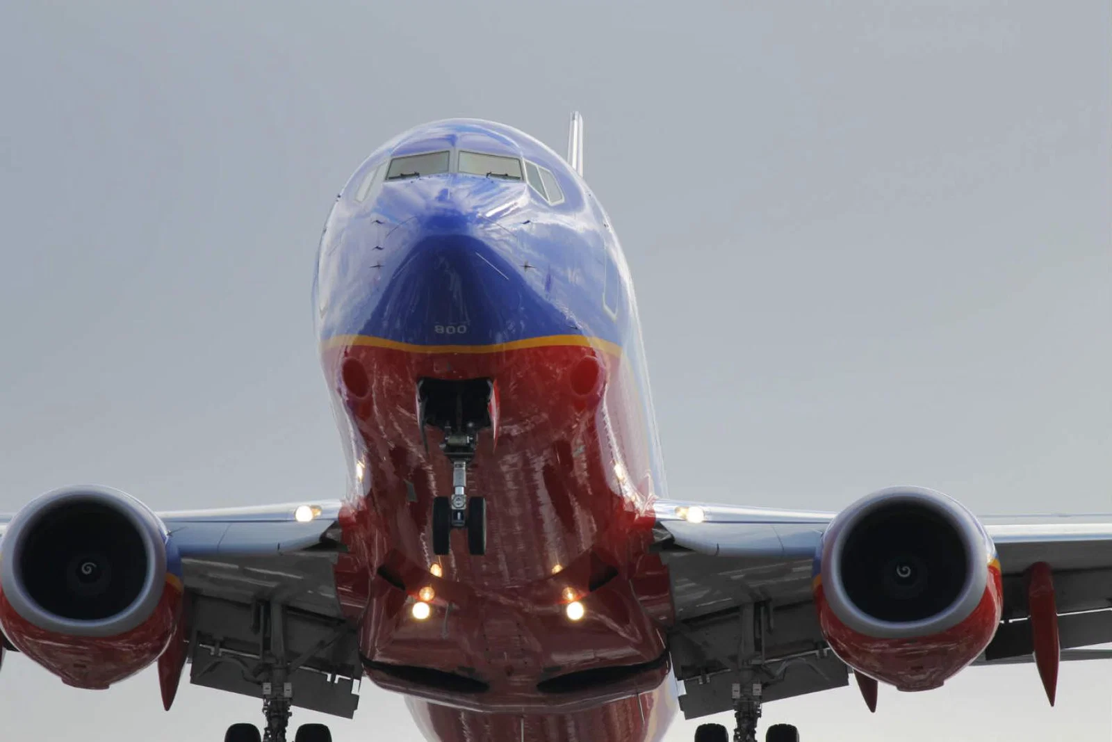 Plane.jpg