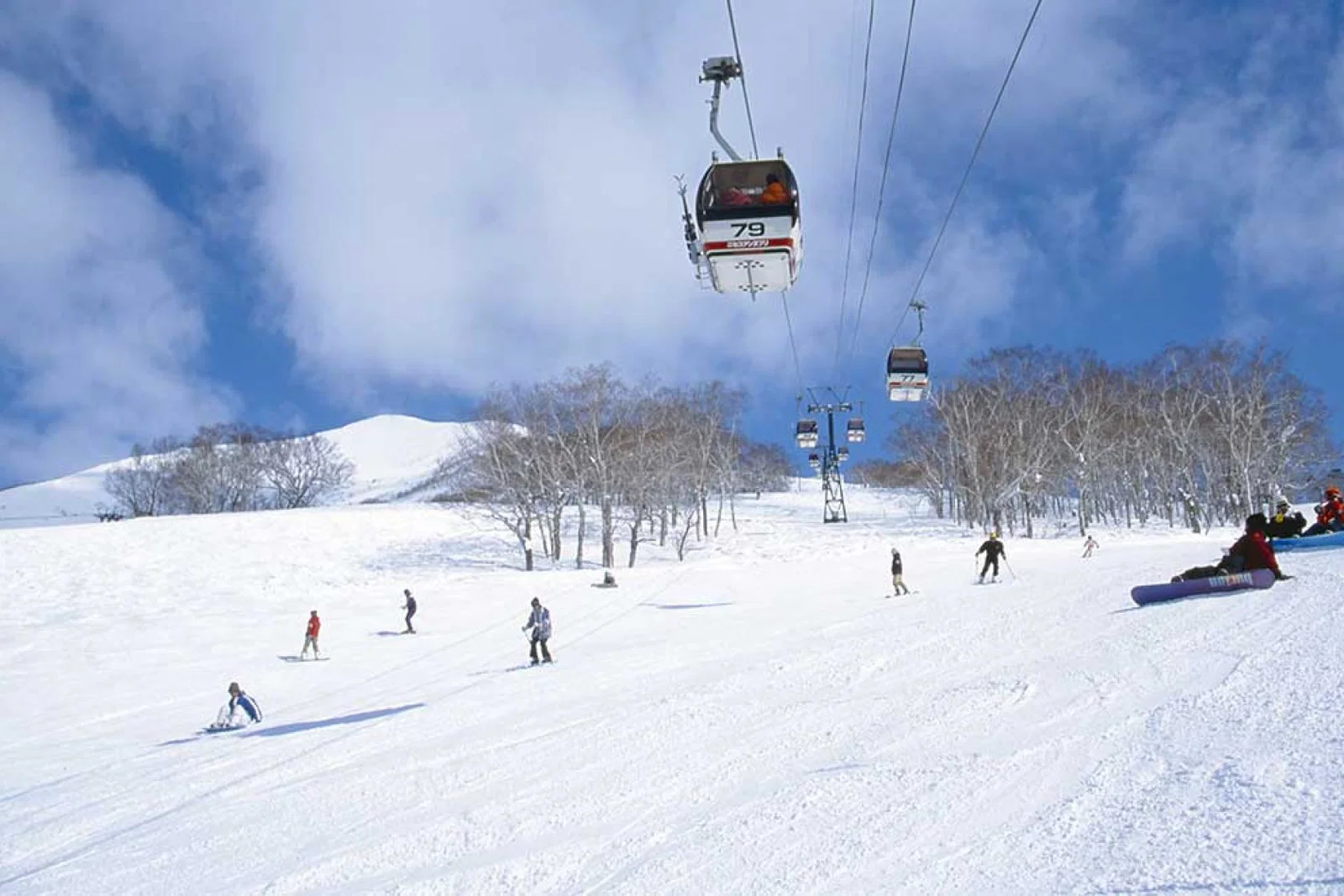 Niseko Japan skiing snowboarding Asia