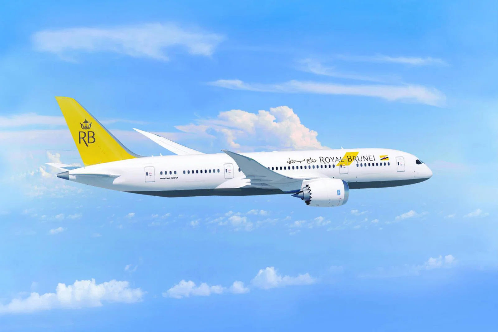 Royal Brunei Airlines, Dreamliner
