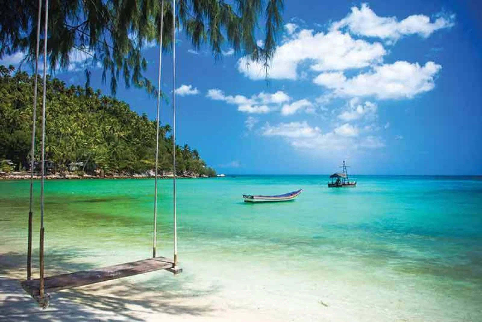 The winner