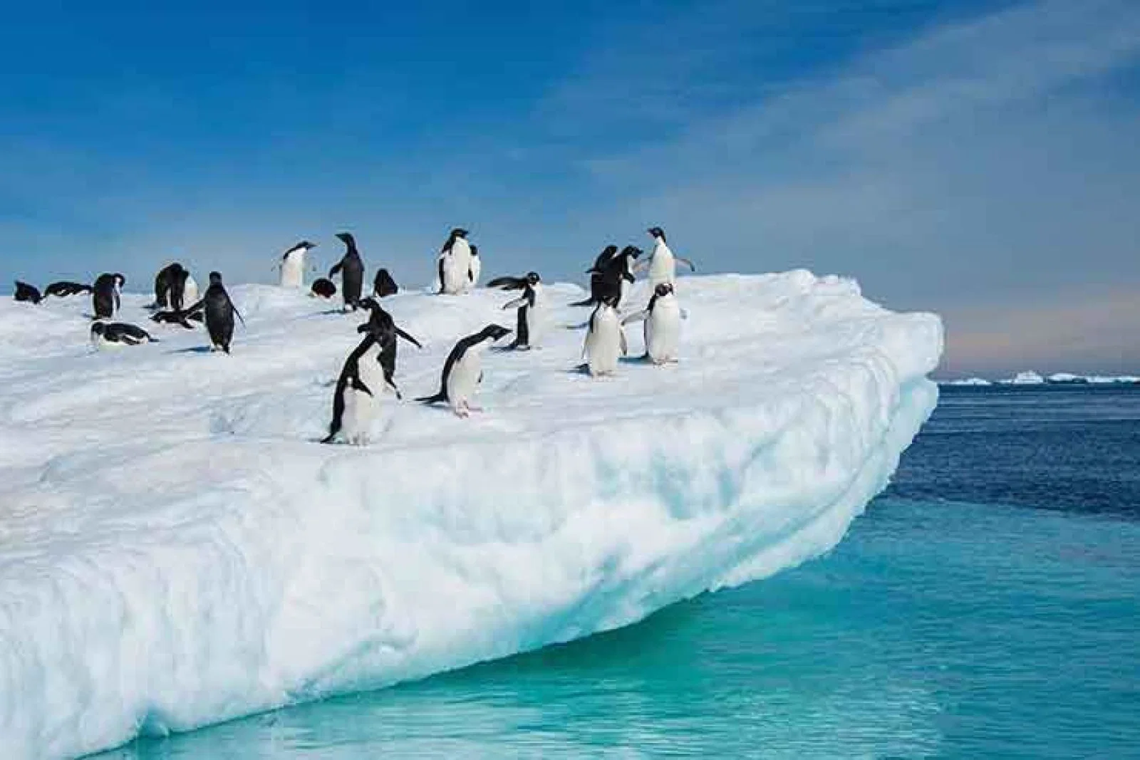 One Ocean Expeditions has cancelled a third successive Antarctic itinerary