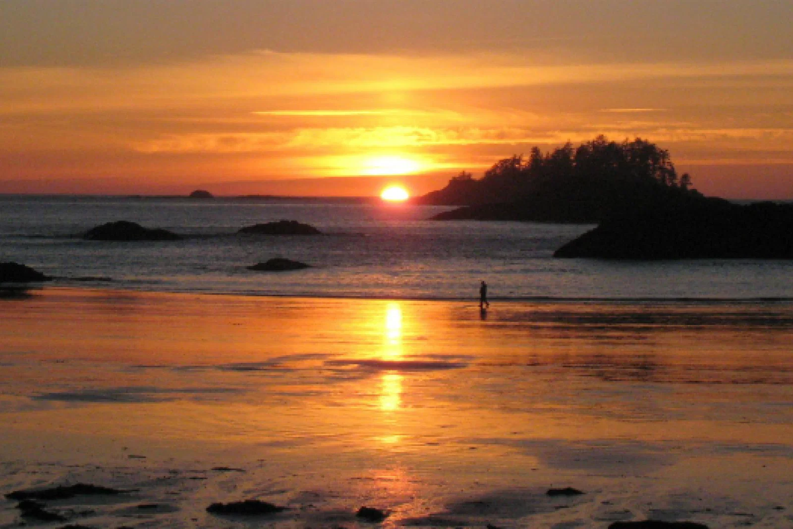 Tofino.jpg